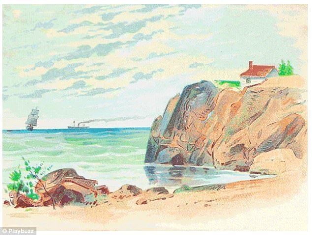 Encuentra a los animales ocultos en la costa