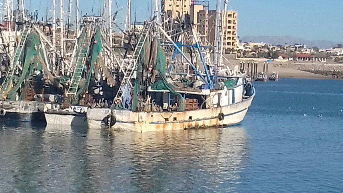 Aseguran tres embarcaciones por pesca ilegal en reserva natural