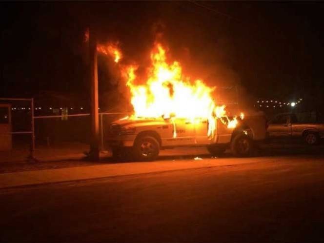 Profepa denuncia a tres pescadores de robo y agresión en Sonora