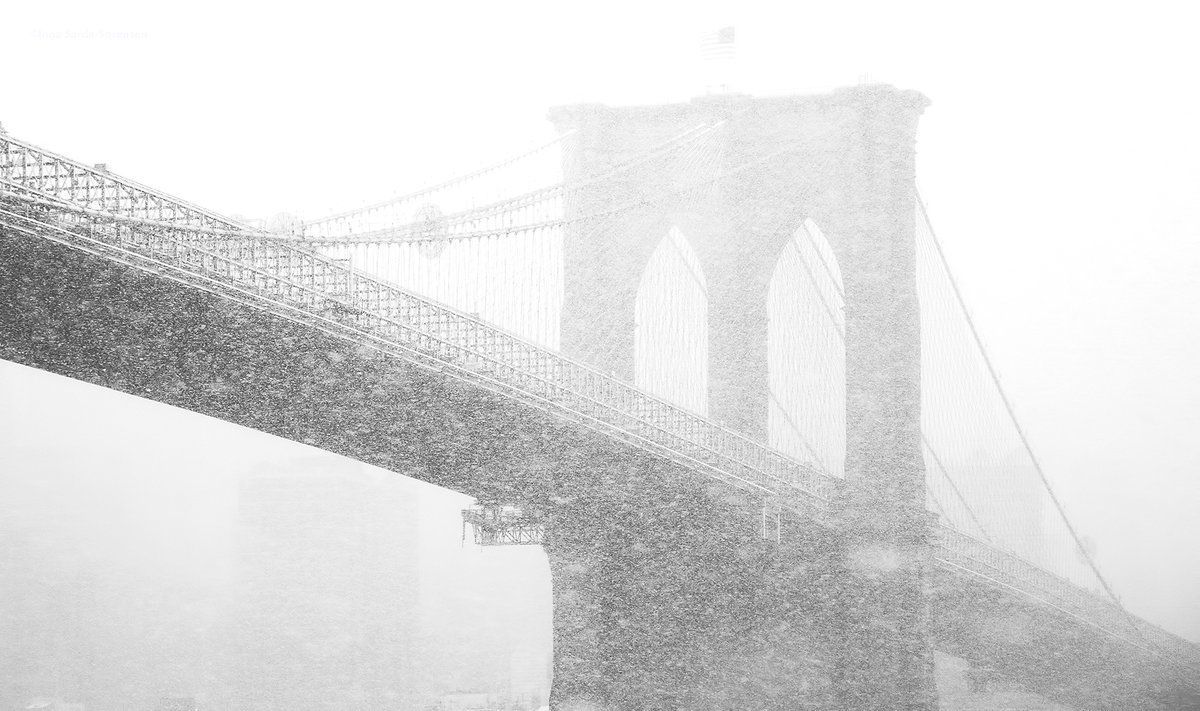 Alerta en Nueva York por llegada de tormenta de nieve