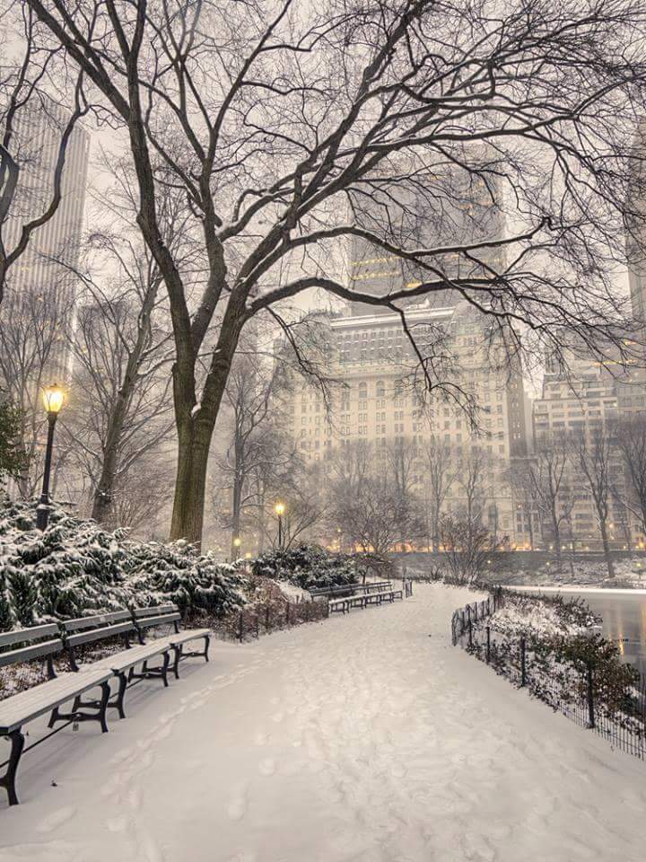 Alerta en Nueva York por llegada de tormenta de nieve - tormenta-de-nieve