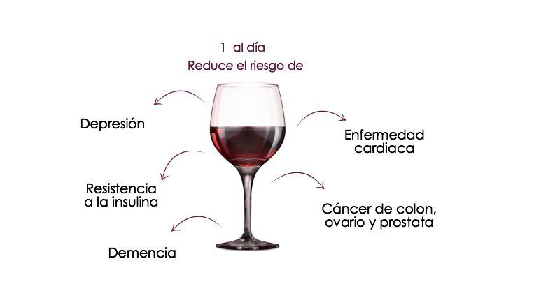 El vino, ¿bueno o malo para la salud? - vino-I