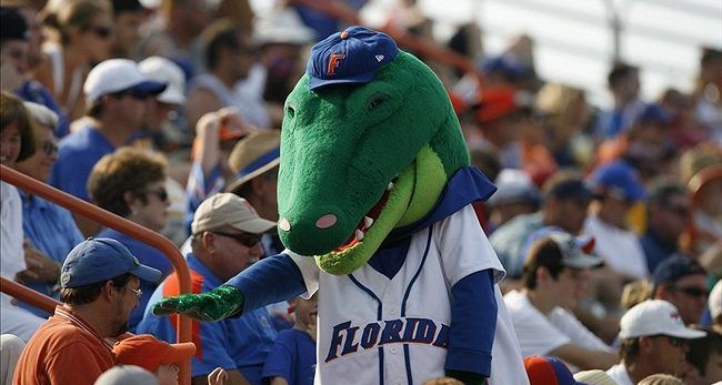 #Video Mascota salva a niño de pelotazo en juego de beisbol
