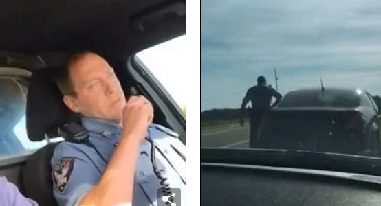 Despiden a policías por ‘presumir’ en Facebook Live que dispararon a perro