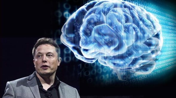 CEO de Tesla busca fusionar el cerebro con una computadora