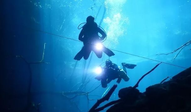 Encuentran fósil de al menos cinco millones de años de antigüedad en Yucatán