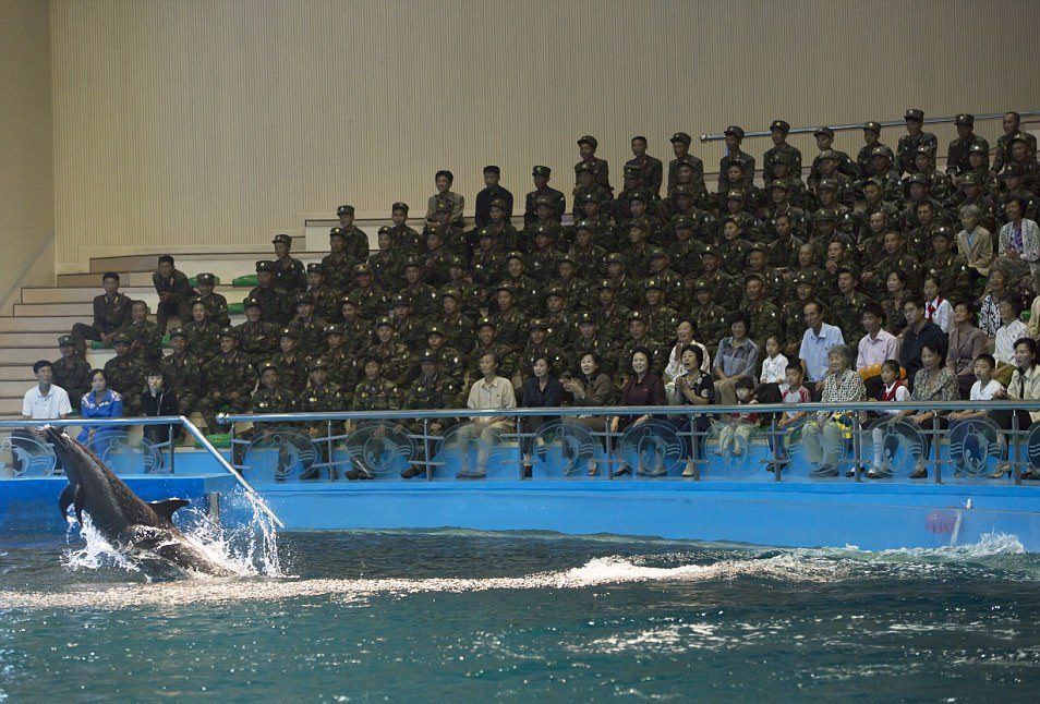 #Fotos Tropas de Corea del Norte se recrean a pesar de la creciente tensión - corea-del-norte-5-e1492032747222