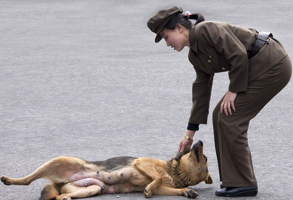 #Fotos Tropas de Corea del Norte se recrean a pesar de la creciente tensión - corea-del-norte-8-e1492032830357