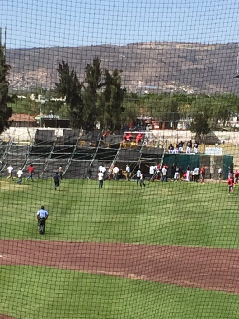 Se derrumba estructura en el estadio de Bravos de León - estadio-domingo-santana-estructura-1-768x1024