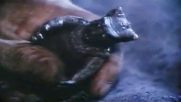 #Video Corea del Norte creó un Godzilla comunista - estatuilla-pulgasari