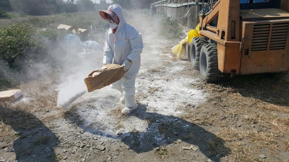 Cifra de muertos en China por gripe aviar llega a 162 - gripe-aviar-I