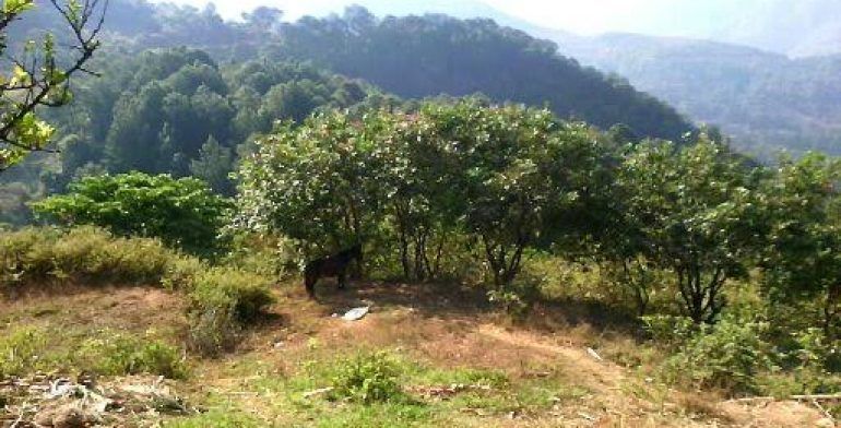 Pueblo mixteco de Guerrero abandonado por el Gobierno - guerrero-4