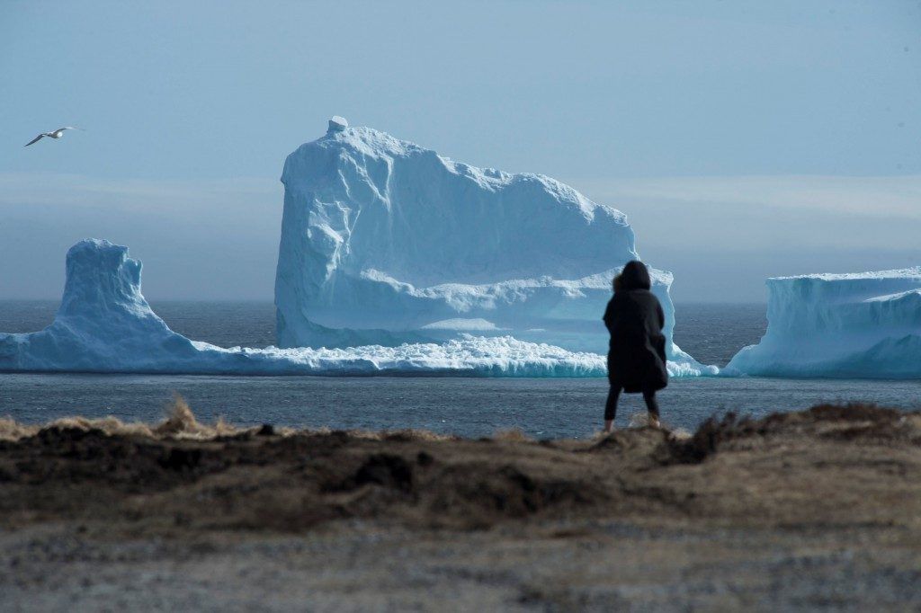 Iceberg aparece en Canadá - iceberg-3-1024x682