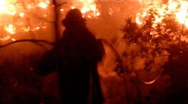 Muere brigadista durante incendio forestal en Jalisco
