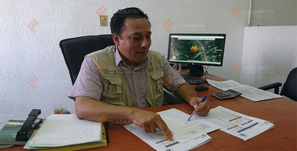 Incendios forestales dejan cuatro muertos y cuatro heridos en Oaxaca - incendios2-1024x521