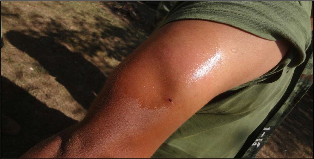 Agreden a militares que destruían plantío de amapola - oaxaca-2-1024x521