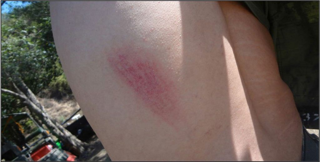 Agreden a militares que destruían plantío de amapola - oxaca-1-1024x521