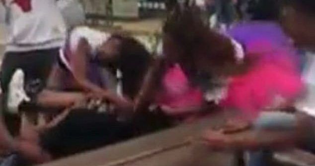 #Video Pelea masiva de mujeres en Florida #Video Pelea masiva de mujeres en Florida