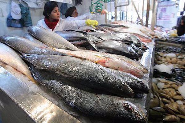 Recomendaciones del gobierno de Morelos para comprar pescados y mariscos