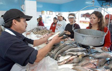 Recomendaciones del gobierno de Morelos para comprar pescados y mariscos - pescados2