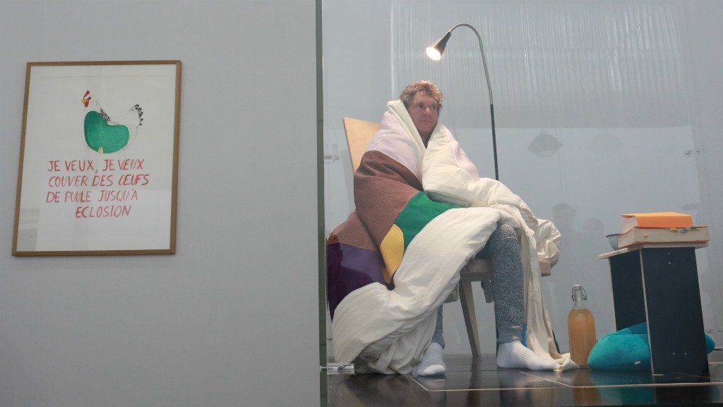 Artista logra empollar nueve huevos de gallina - poincheval-oeuf-main