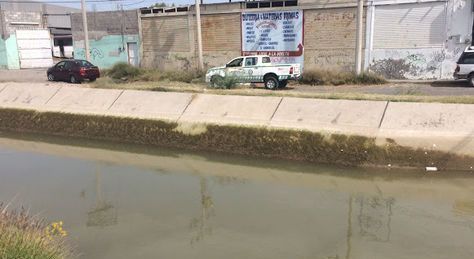 Reportan caída de auto y resultó que era un perro