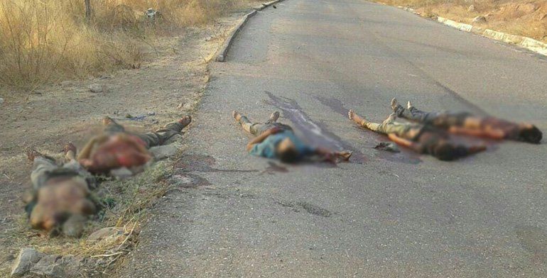 Encuentran cinco cadáveres en San Miguel Totolapan - san-miguel-totolapan