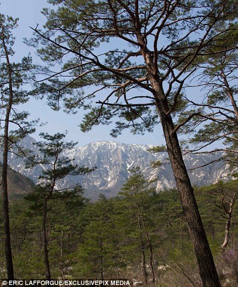 #Fotos El resort fantasma en Corea del Norte - sc10