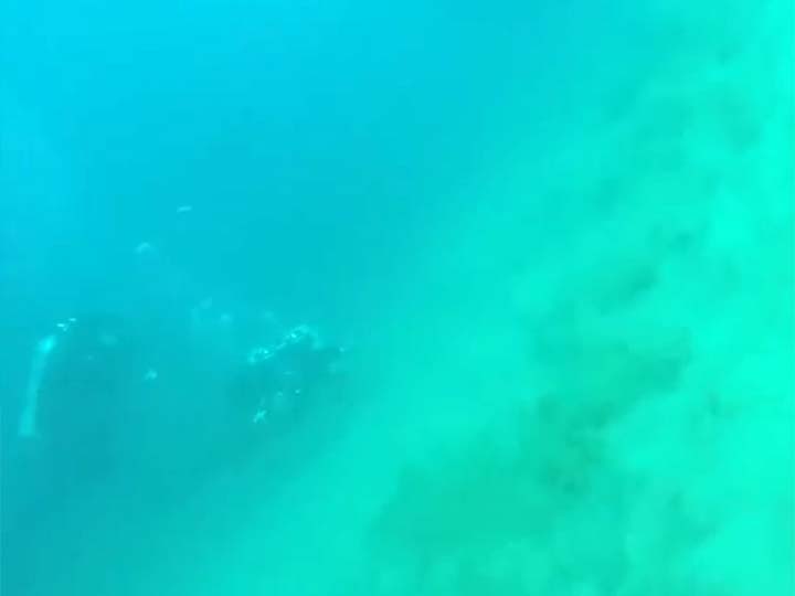 #Video Captan sismo en el océano