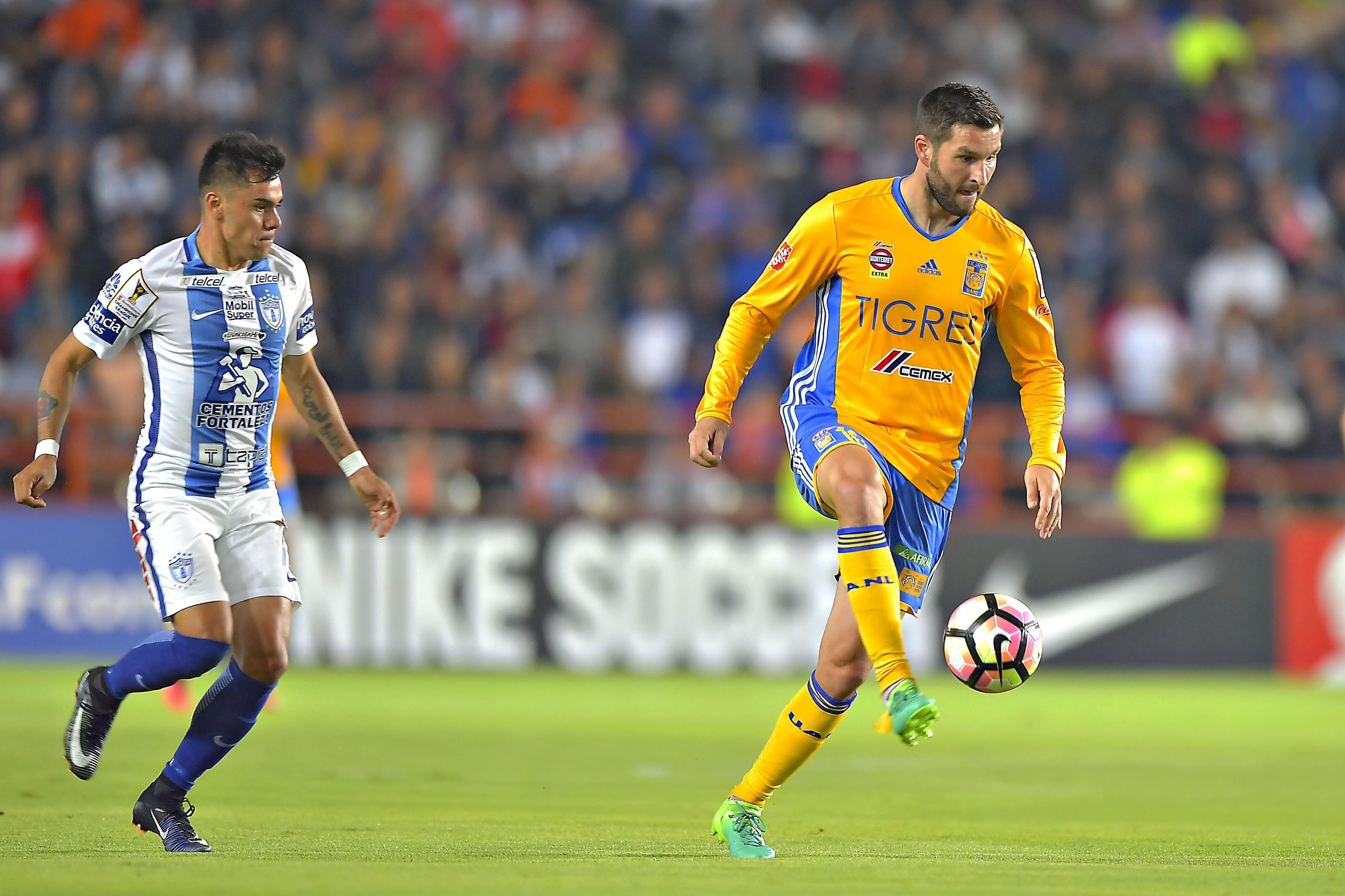 Tigres tiene entre sus filas a casi 30 extranjeros