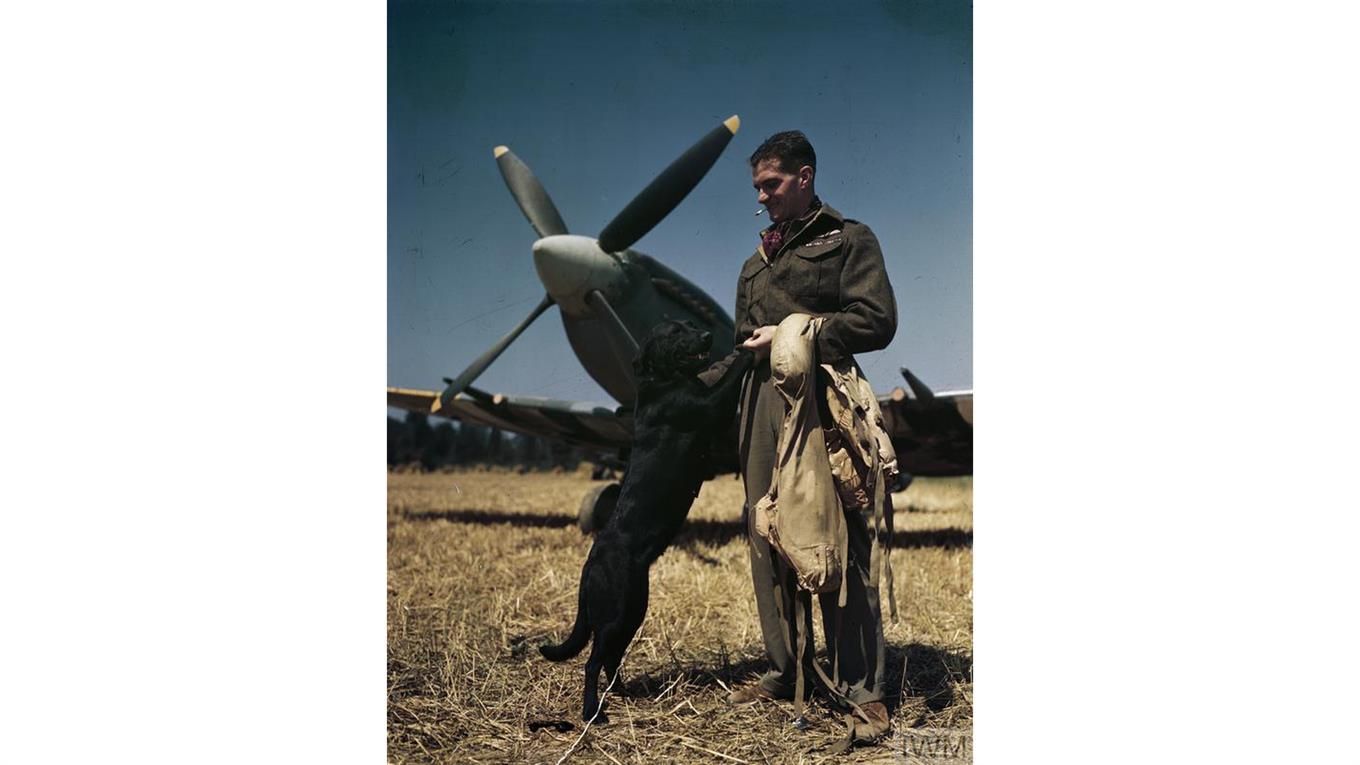 Revelan fotos inéditas a color de la Segunda Guerra Mundial - ww32