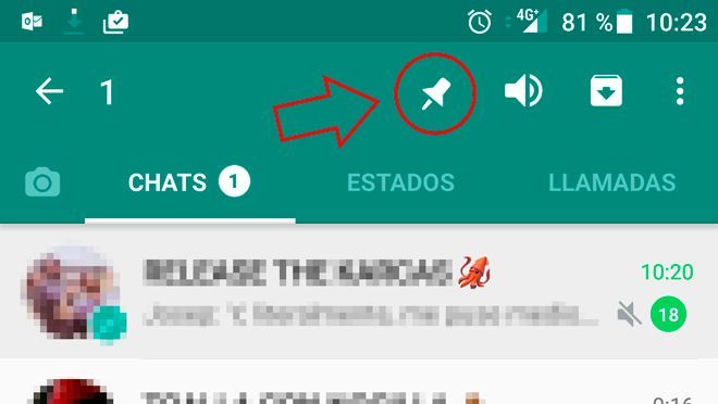 WhatsApp permitirá fijar los chats favoritos - 14938012486269