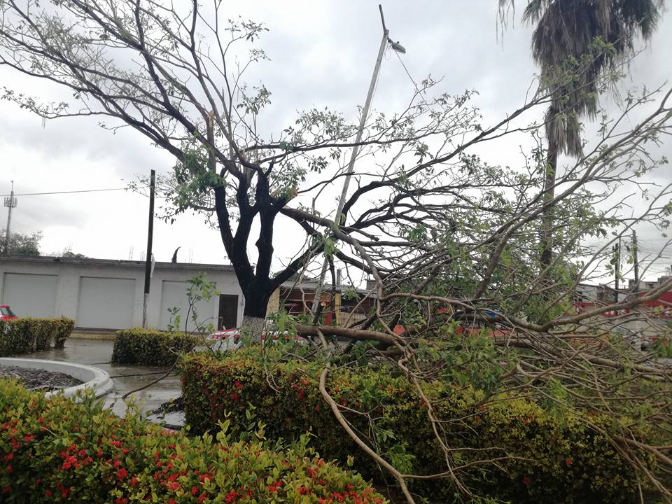 Inusual tormenta sorprende a habitantes del norte de Veracruz - 18622334_1539563619450960_317372064235442910_n