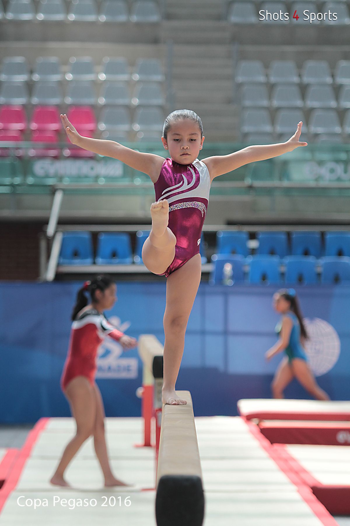Gimnasia, la base para todos los deportes - 7D011368