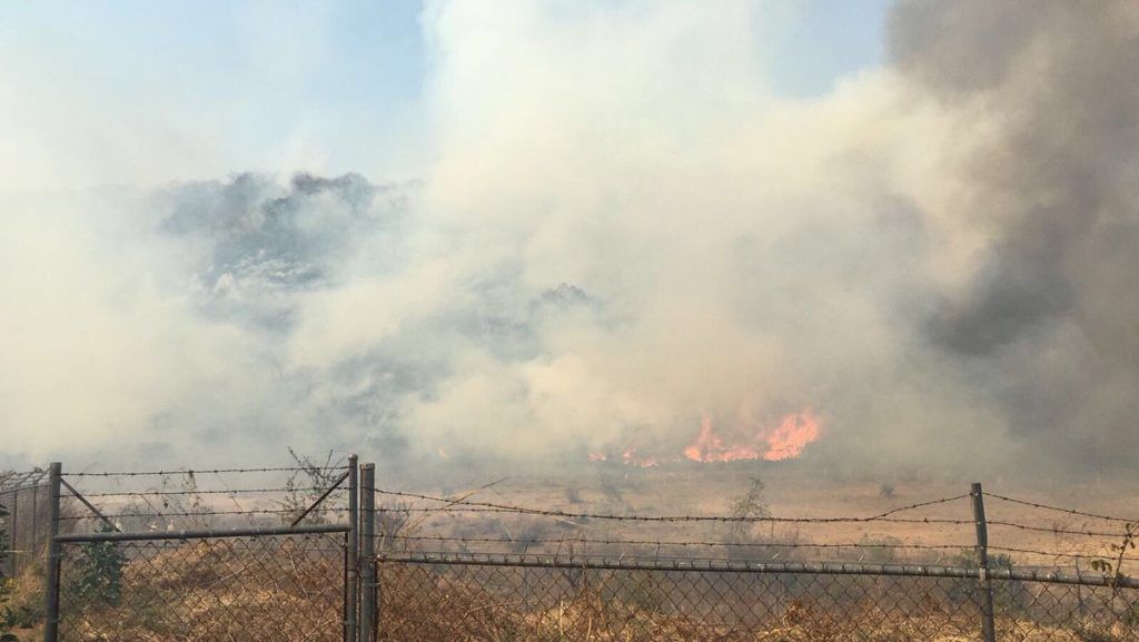 Sofocan incendio en Tlajomulco - C-yCN_XXoAEXlX7-1024x577