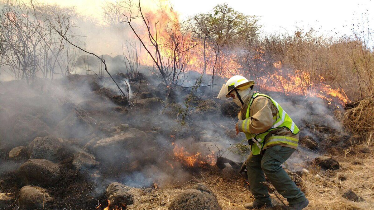 Sofocan incendio en Tlajomulco