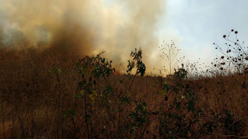 Sofocan incendio en Tlajomulco - C-yCN_aWAAAGff7-1024x576