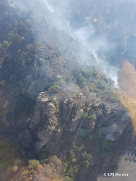 Continúa incendio forestal en Tepoztlán - Captura-de-pantalla-2017-05-02-a-las-9.14.17