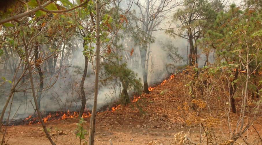 Mantienen suspensión de clases en parte de Jalisco - Captura-de-pantalla-2017-05-04-a-las-8.15.18