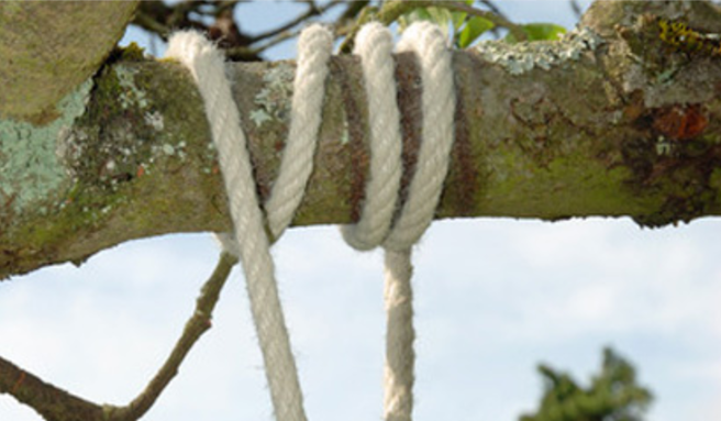 Encuentran dos cuerpos en Oaxaca