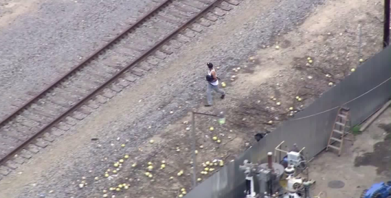 #Video Policías disparan a sospechoso durante transmisión en vivo