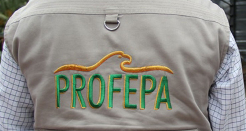 Profepa multa a Hyundai por incumplir normas ambientales - Captura-de-pantalla-2017-05-22-a-las-18.16.55