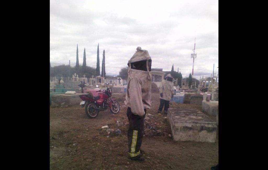 Ataque de abejas en panteón de Pachuca deja 10 heridos - abejas-panteón-pachuca