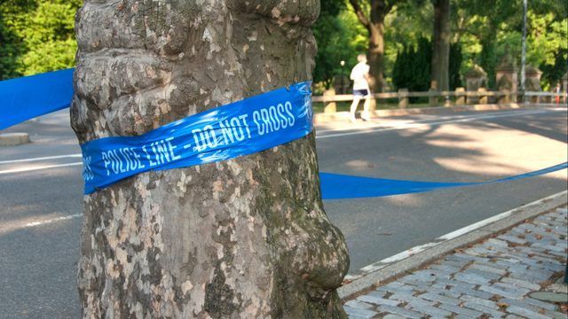 Encuentran hombre con manos clavadas en árbol en Nuevo México