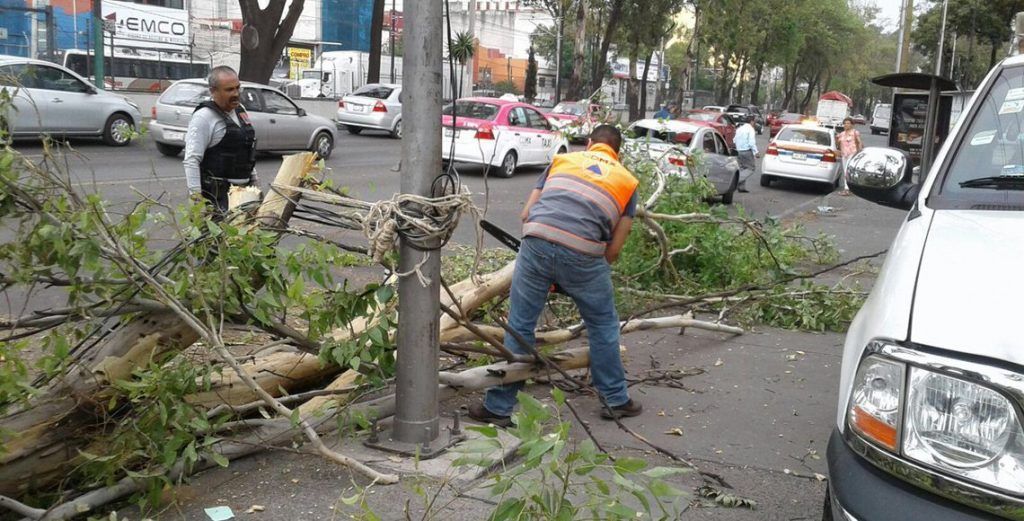 Vientos derriban 60 árboles en Ciudad de México - arboles-caidos-cdmx-especial-1024x521