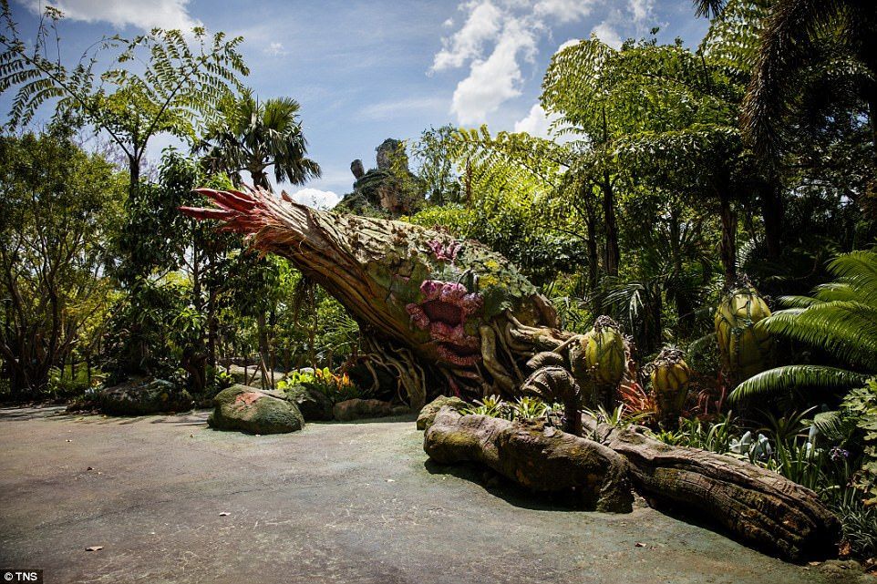 #Video Mundo de Avatar, la nueva atracción de Disney World - avatar-12