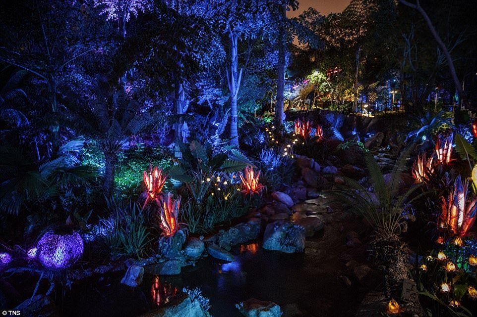 #Video Mundo de Avatar, la nueva atracción de Disney World - avatar-8