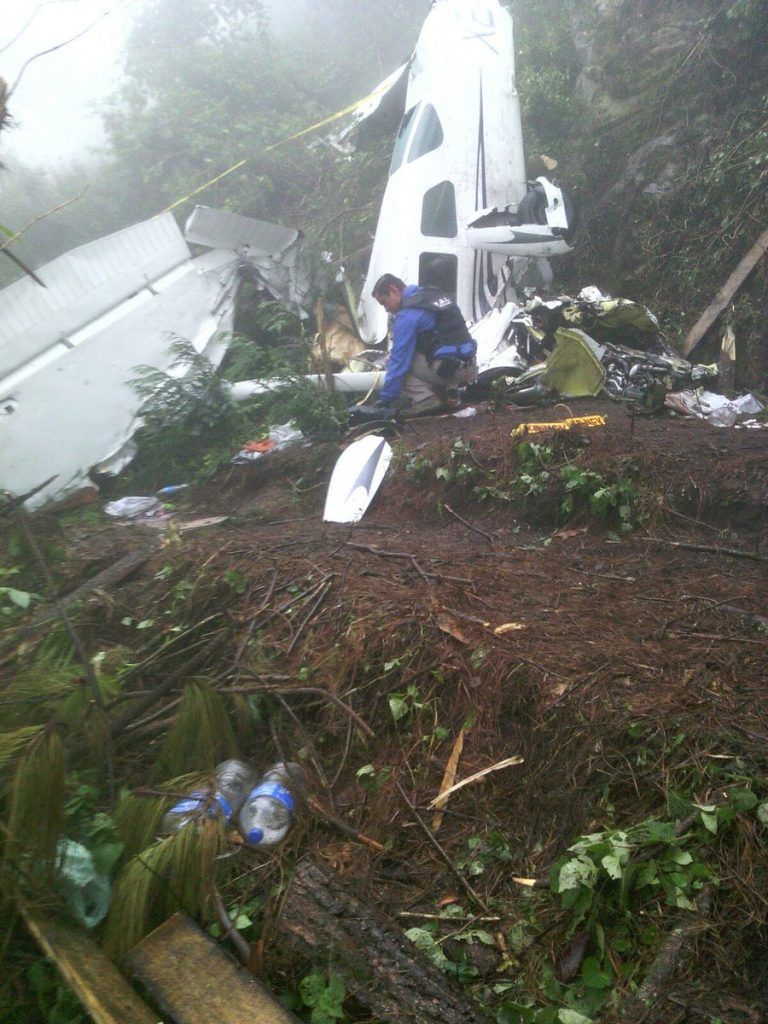 Avión pequeño cae en Veracruz y deja tres muertos - avioneta-2-768x1024