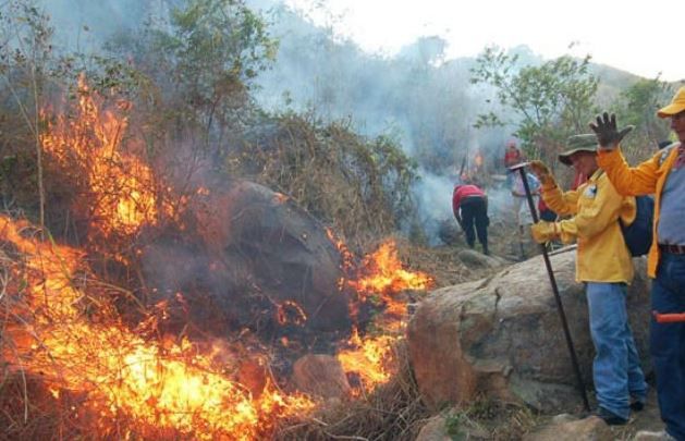 Muere brigadista al combatir incendio forestal en Jalisco - brigadistas-2