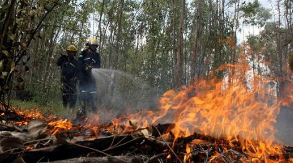 Muere brigadista al combatir incendio forestal en Jalisco